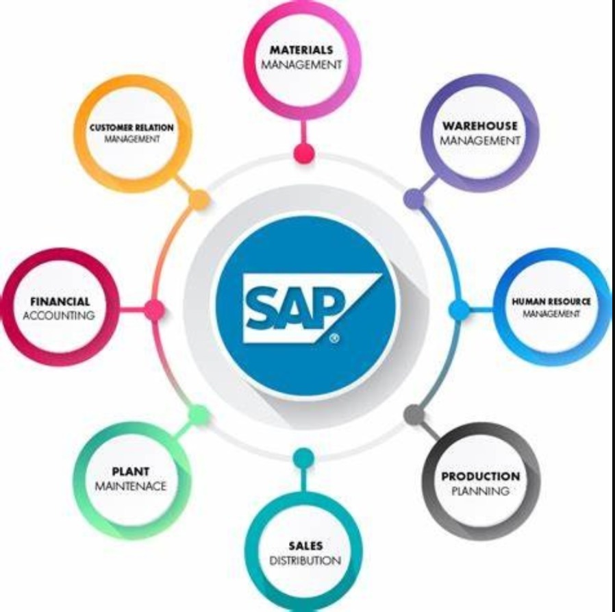 SAP Reporting