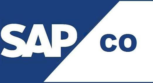 SAP CO